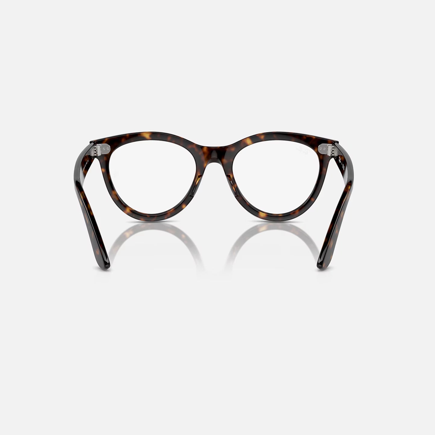 RAYBAN Polished Havana RX2201